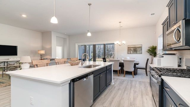 343 Hadley Springs Ave, Longs, SC 29568