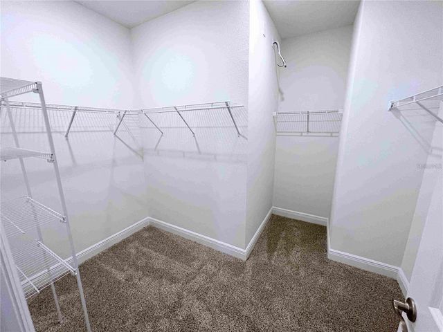 11965 BRACCO STREET, Winter Garden, FL 34787