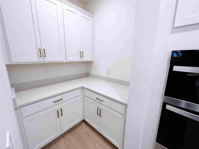 11965 BRACCO STREET, Winter Garden, FL 34787