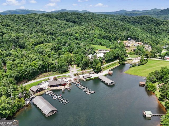 60 Cove View Lane, Clarkesville, GA 30523