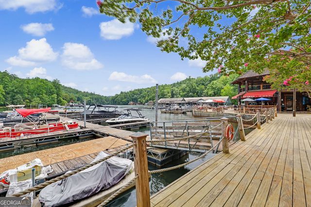 60 Cove View Lane, Clarkesville, GA 30523