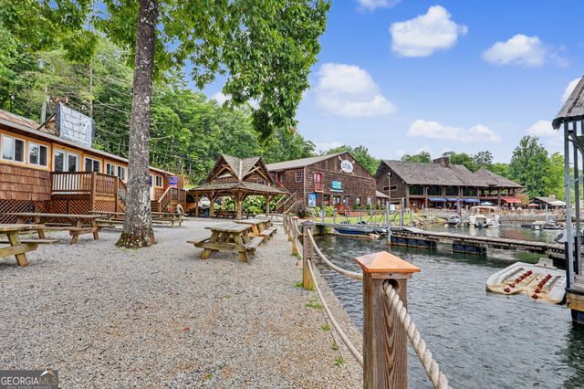60 Cove View Lane, Clarkesville, GA 30523