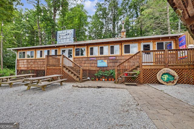 60 Cove View Lane, Clarkesville, GA 30523