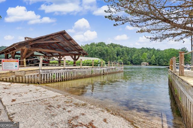 60 Cove View Lane, Clarkesville, GA 30523