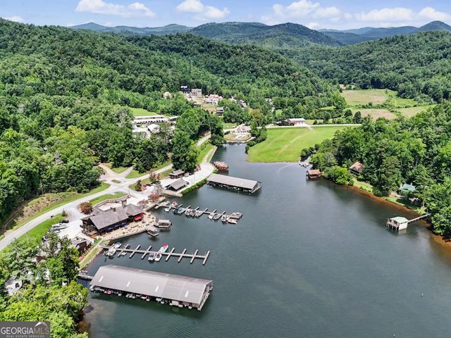 60 Cove View Lane, Clarkesville, GA 30523