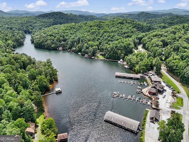 60 Cove View Lane, Clarkesville, GA 30523