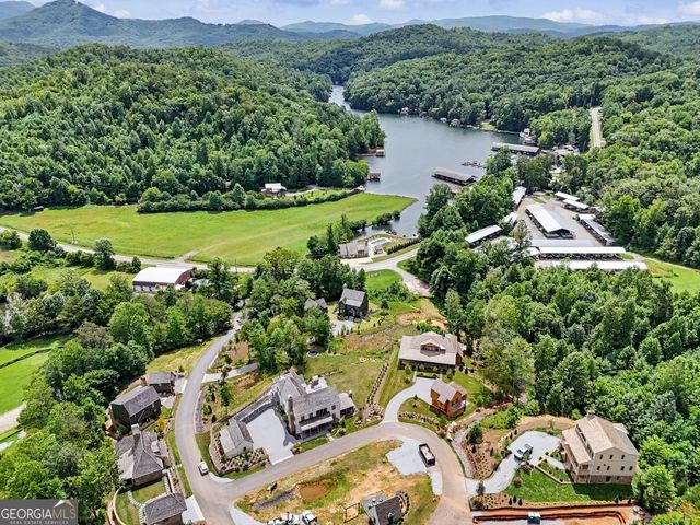 60 Cove View Lane, Clarkesville, GA 30523