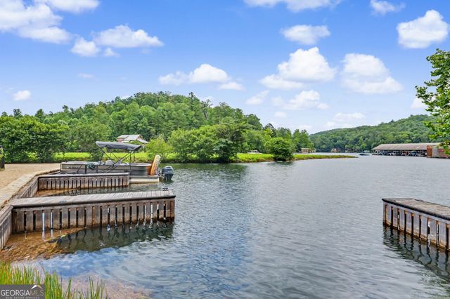 60 Cove View Lane, Clarkesville, GA 30523
