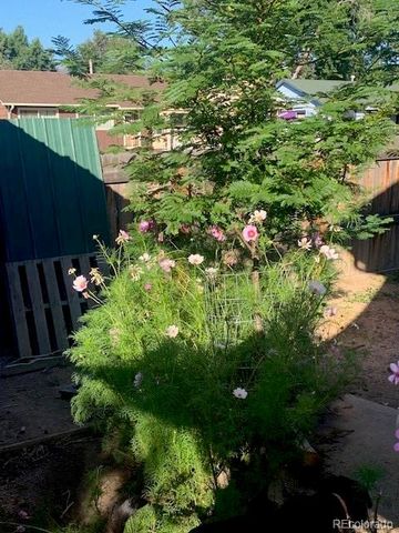 101 Trump Avenue, Colorado Springs, CO 80909