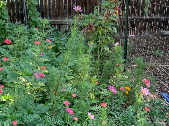 101 Trump Avenue, Colorado Springs, CO 80909