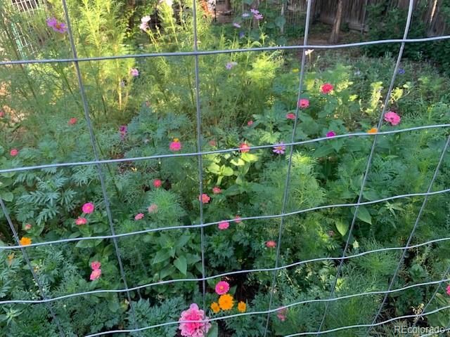 101 Trump Avenue, Colorado Springs, CO 80909