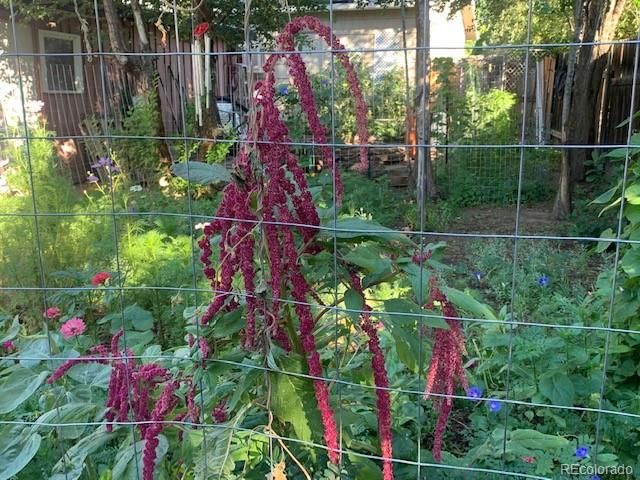 101 Trump Avenue, Colorado Springs, CO 80909