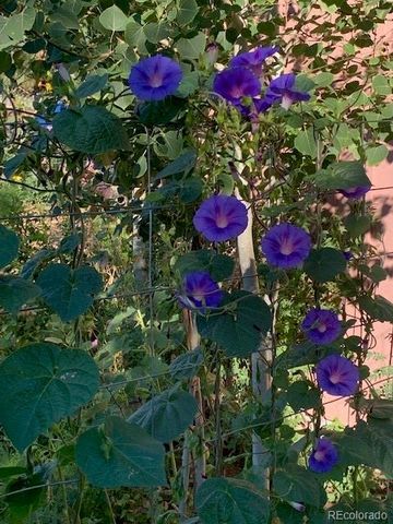 101 Trump Avenue, Colorado Springs, CO 80909