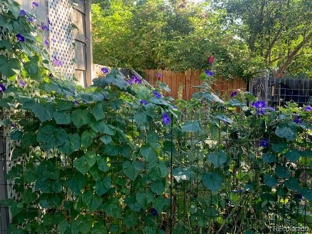 101 Trump Avenue, Colorado Springs, CO 80909