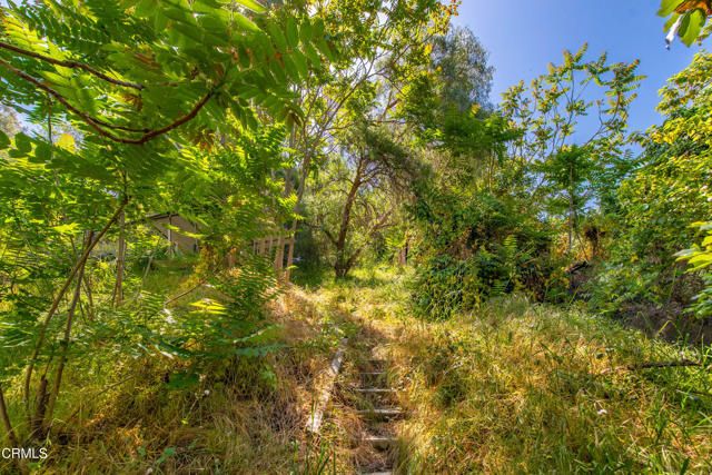 3550 The Paseo, Los Angeles, CA 90065