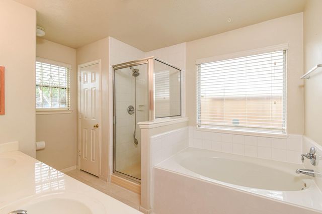 13735 Branford Greens Drive, Houston, TX 77083