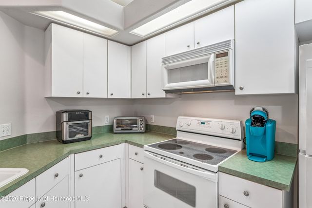 14466 Tamarind Loop, Spring Hill, FL 34609