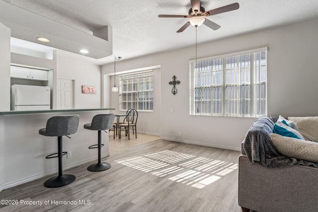 14466 Tamarind Loop, Spring Hill, FL 34609