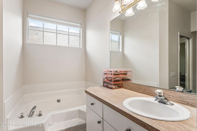 14466 Tamarind Loop, Spring Hill, FL 34609
