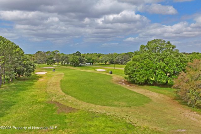 14466 Tamarind Loop, Spring Hill, FL 34609