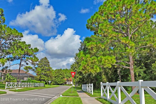 14466 Tamarind Loop, Spring Hill, FL 34609