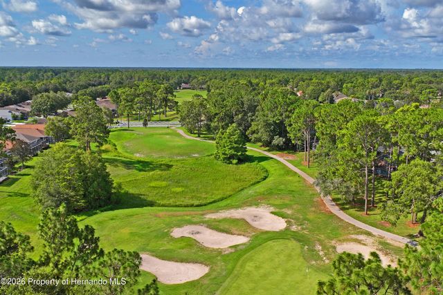 14466 Tamarind Loop, Spring Hill, FL 34609