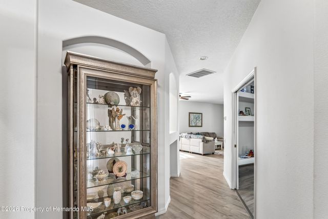 14466 Tamarind Loop, Spring Hill, FL 34609