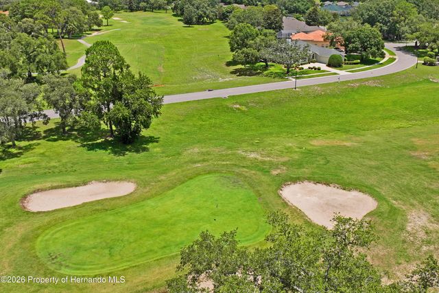 14466 Tamarind Loop, Spring Hill, FL 34609