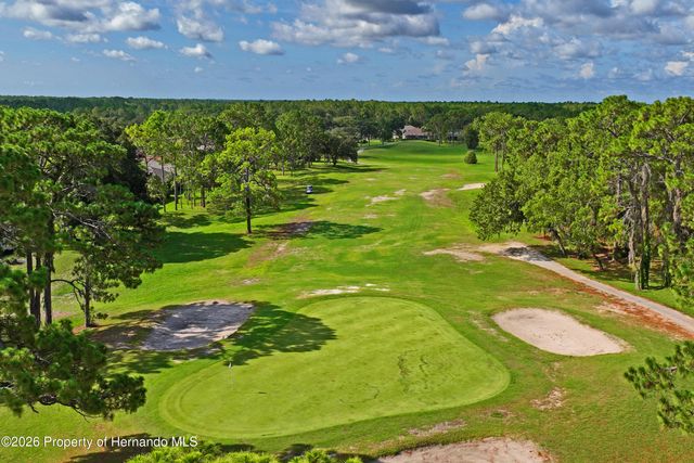 14466 Tamarind Loop, Spring Hill, FL 34609