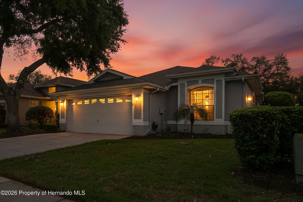 14466 Tamarind Loop, Spring Hill, FL 34609
