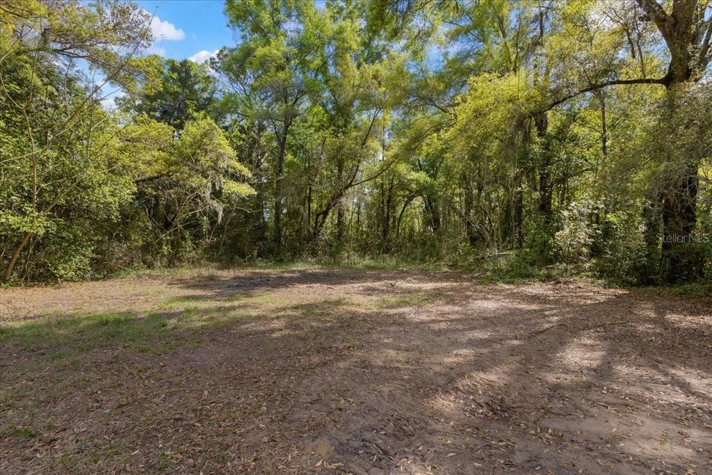 Image 34 of property listing at 6950 SE HIGHWAY 41, Morriston, FL 32668