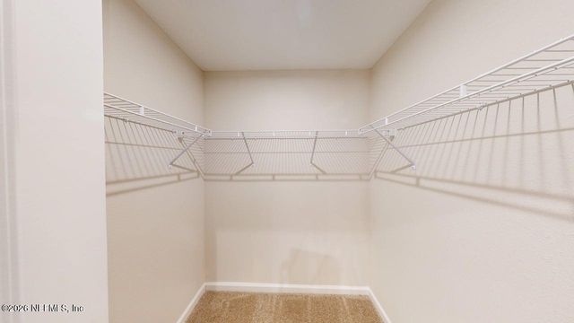 1007 EGRET BRANCH Way, Jacksonville, FL 32218