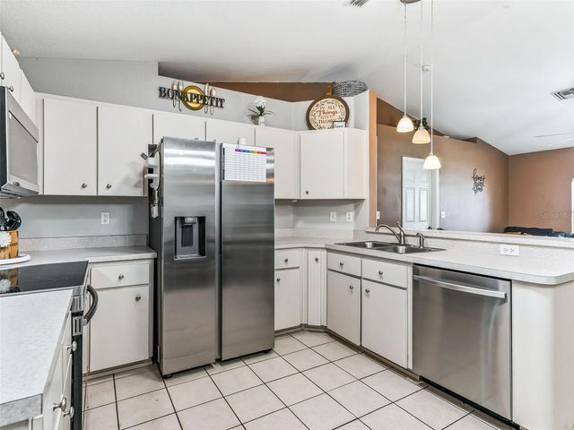 1195 CR 441, Lake Panasoffkee, FL 33538