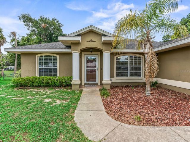 1195 CR 441, Lake Panasoffkee, FL 33538