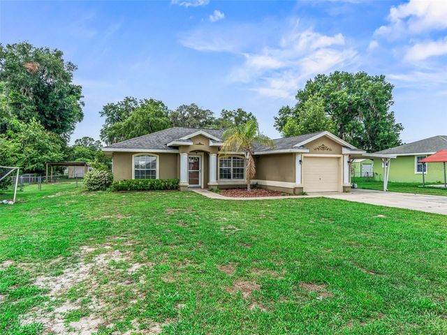 1195 CR 441, Lake Panasoffkee, FL 33538