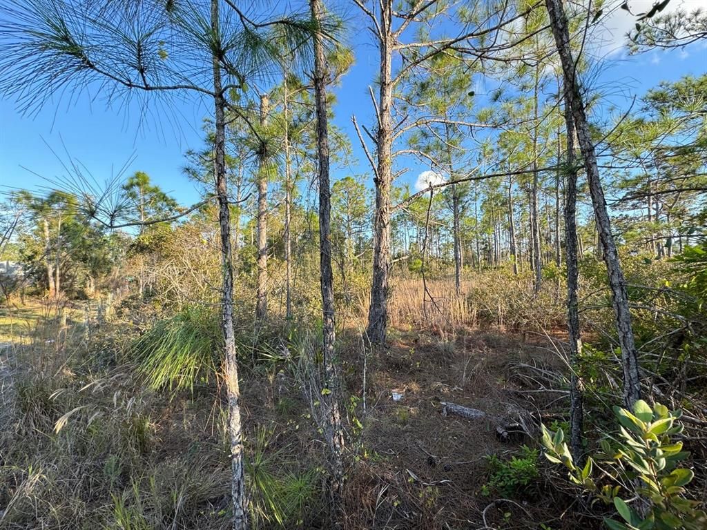 8108 AUSTRIAN BOULEVARD, Punta Gorda, FL 33982