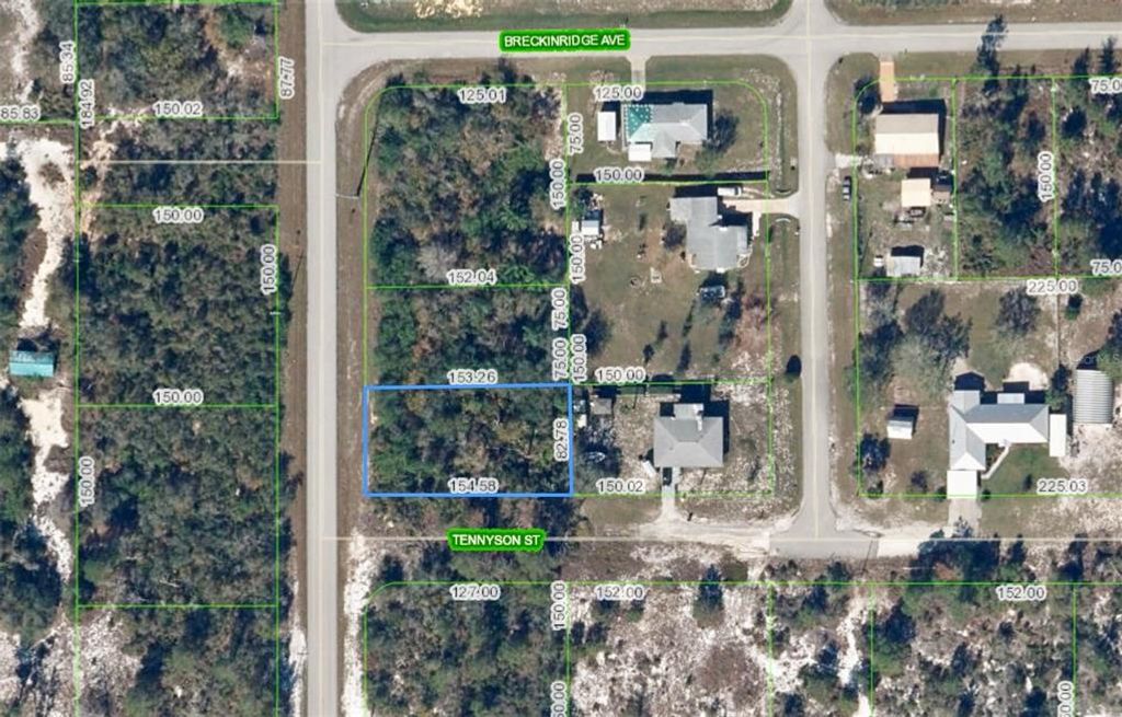 1002 TENNYSON STREET, Lake Placid, FL 33852