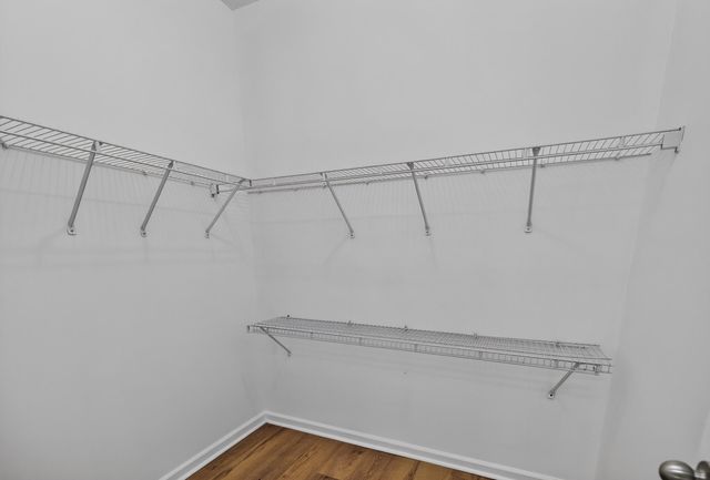 2513 Sun Seeker Court, Lexington, KY 40503