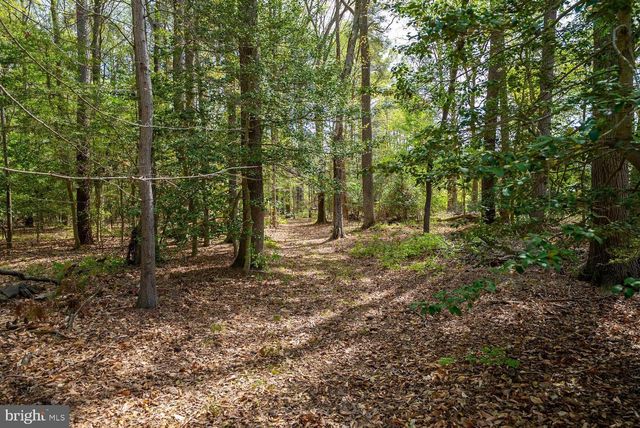 322 DEEP SHORE RD, Denton, MD 21629