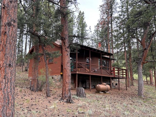 861 Happy Top Trail, Bailey, CO 80421