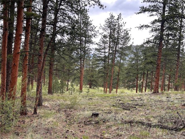 861 Happy Top Trail, Bailey, CO 80421