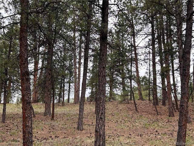 861 Happy Top Trail, Bailey, CO 80421