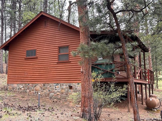 861 Happy Top Trail, Bailey, CO 80421