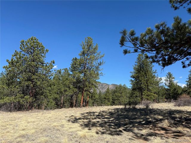 861 Happy Top Trail, Bailey, CO 80421