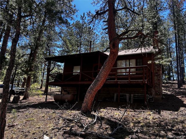 861 Happy Top Trail, Bailey, CO 80421