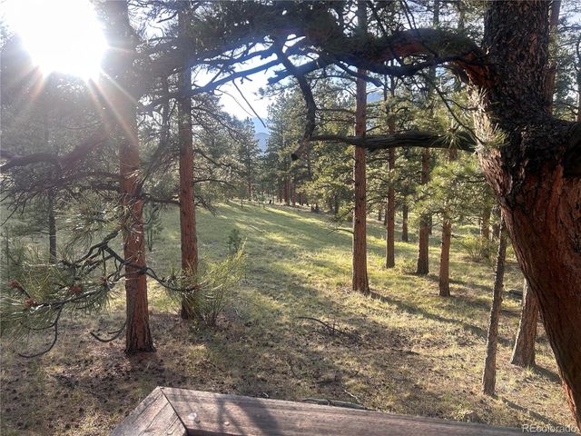 861 Happy Top Trail, Bailey, CO 80421