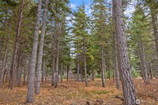 230 Goat Creek Lane, Cle Elum, WA 98922