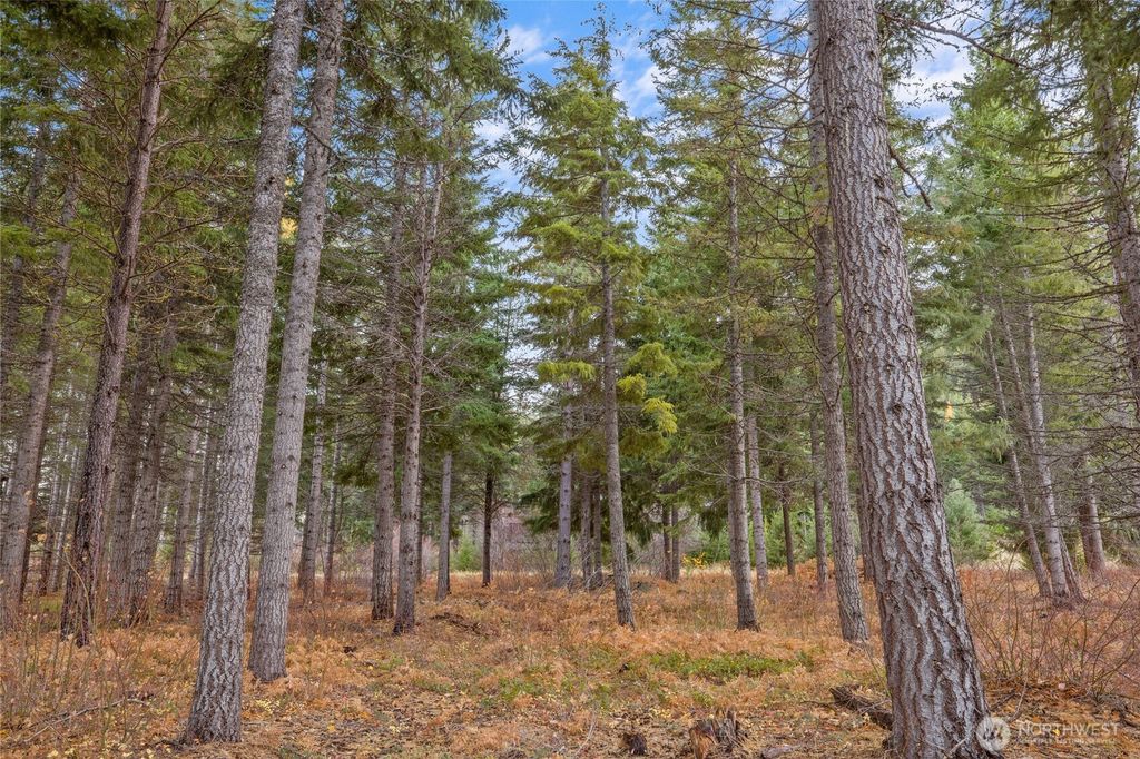 230 Goat Creek Lane, Cle Elum, WA 98922