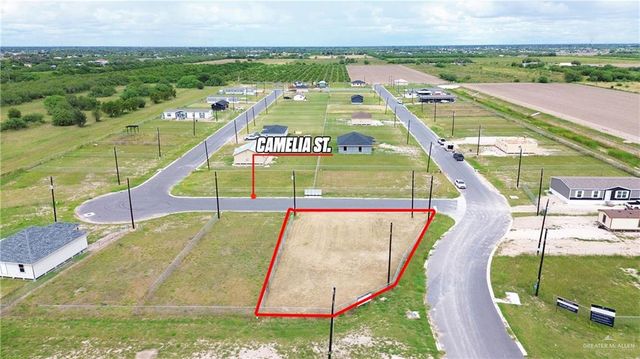 209 Camelia Street, Alamo, TX 78516