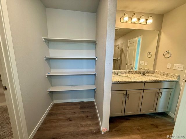 736 N Carrie Ct, Watkins, CO 80137